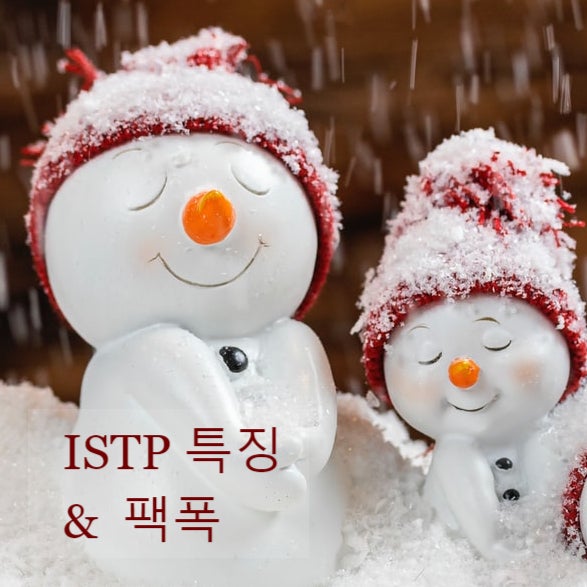 ISTP 특징 팩폭 너는 누구냐 - 개인적인 호기심에 파봄.