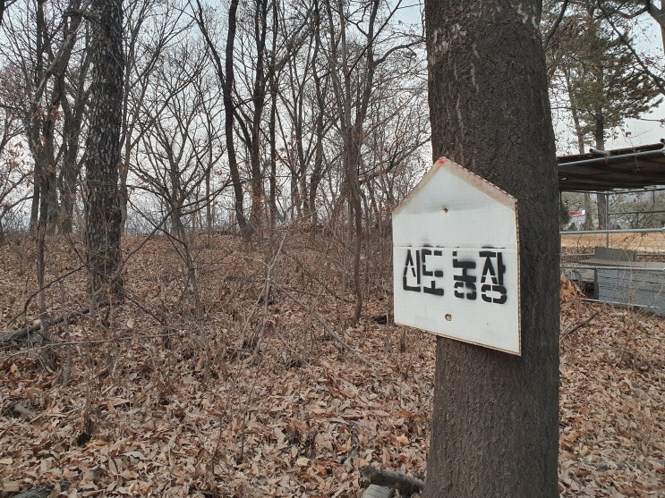  안산 신도정육농장에서 한우 사 왔어요. 현주엽 선수 소고기 맛집