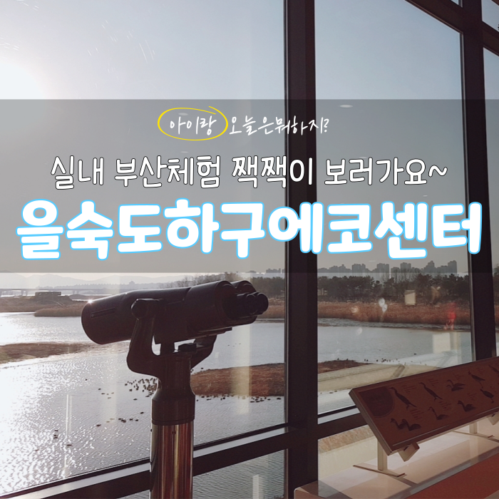  겨울실내체험 부산 을숙도에코센터 아이와가볼만한곳