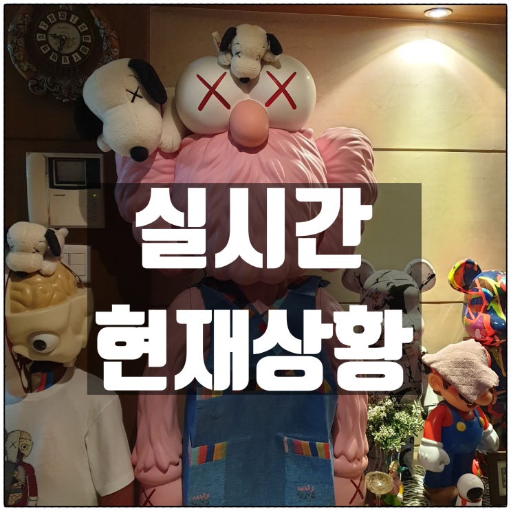 손대니네 집 실시간 현재상황 손대니네 집 실시간 현재상황