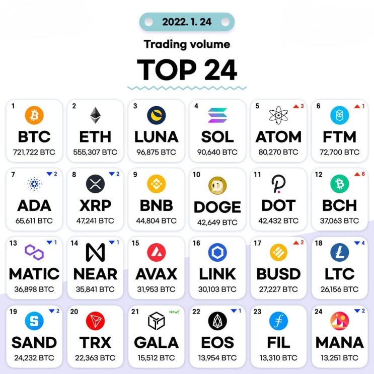1월24일 거래량 TOP 24 및 투자 목록