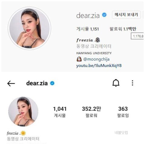  프리지아 김치 파오차이 중국  짝퉁 짭 인스타 실시간 명품 집안 논란 한양대