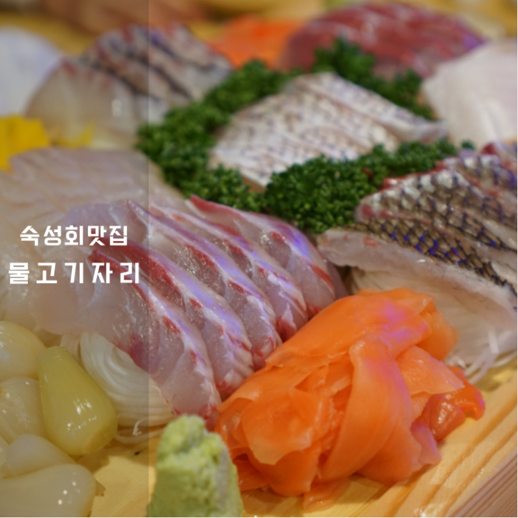 반송동맛집 물고기자리 동탄점 여기가 숙성회 무한리필 혜자식당