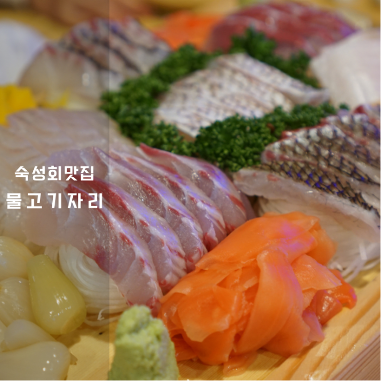  반송동맛집 물고기자리 동탄점 여기가 숙성회 무한리필 혜자식당