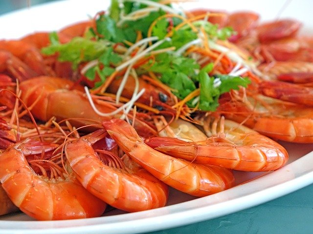 강아지 새우 먹어도 되나요?