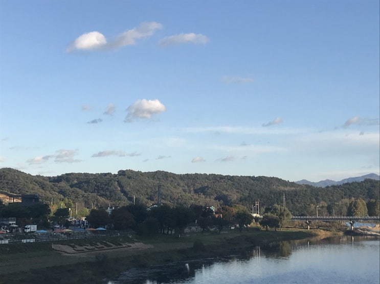  원주 소금산 출렁다리