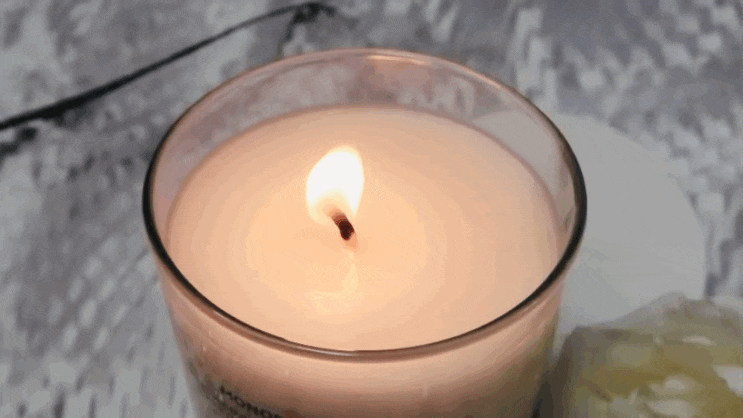  모노룸 디퓨저 캔들 추천 (코발트블루 포레스트 향)