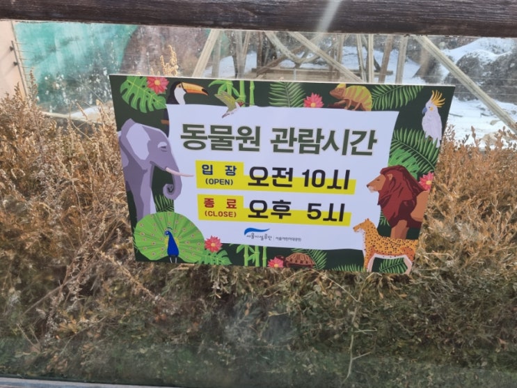 서울어린이대공원 어른 데이트코스로도 좋아요 동물원 나들이 운영시간 무료 정보