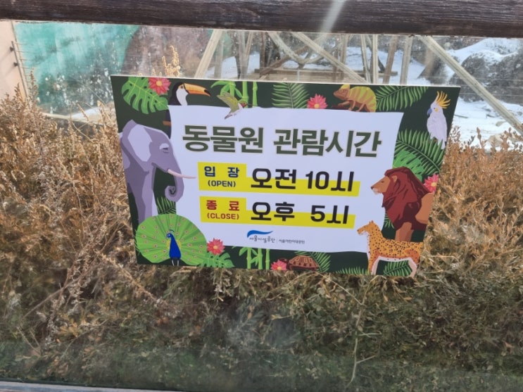  서울어린이대공원 어른 데이트코스로도 좋아요 동물원 나들이 운영시간 무료 정보