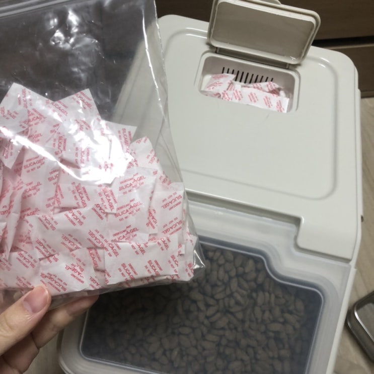  고양이 사료 보관통 추천 + 사료 급여시 가루털이