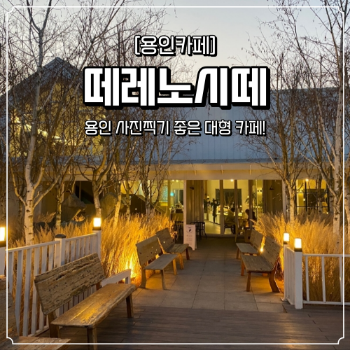  용인 대형 카페 떼레노시떼