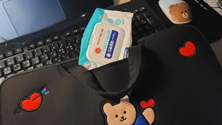  대일밴드 손소독티슈 추천 마스크와 필수템