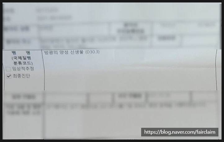 질병분류코드D30.3방광양성종양,경계성종양진단비확인