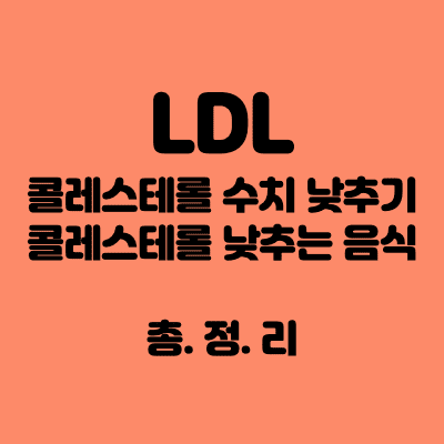 LDL 콜레스테롤 수치 낮추기 LDL 콜레스테롤 낮추는 음식 꿀팁방출
