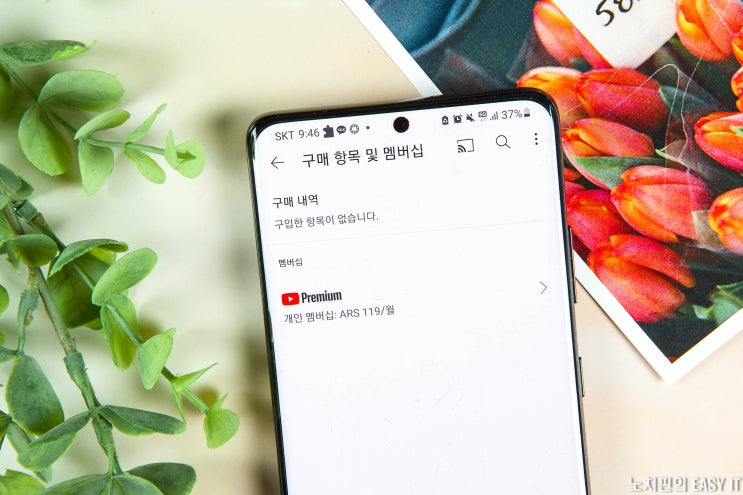 유튜브 프리미엄 아르헨티나 우회, 한 달에 1,400원?