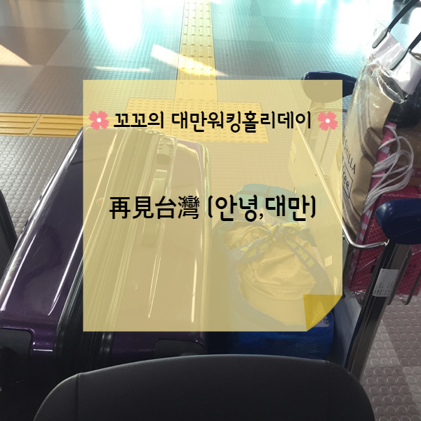  [대만워홀] 대만 워킹홀리데이 마지막 이야기(再見, 台灣)