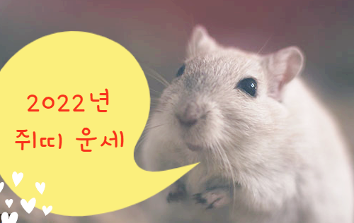  [띠 운세]2022 임인년 쥐띠 운세 어떨까요?