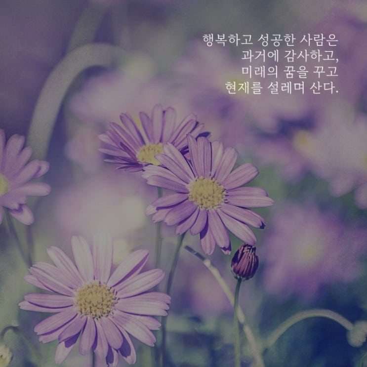  부거사이 [부동산 뉴스와 블로그] 1월 24일(월)