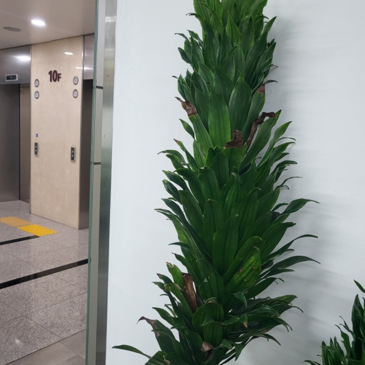  소액재판절차 간단하지만 정확하게 살펴서 진행해야 합니다!