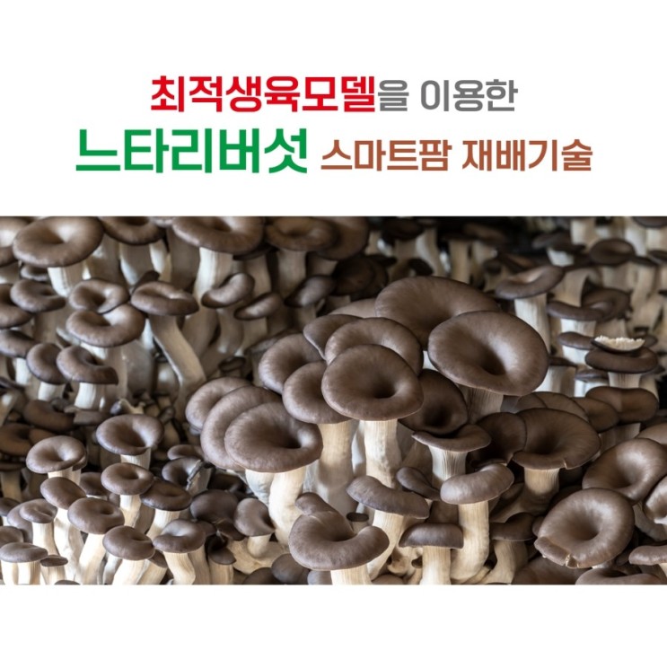 -공유- 스마트팜을 활용한 느타리버섯 재배기술(농사로)