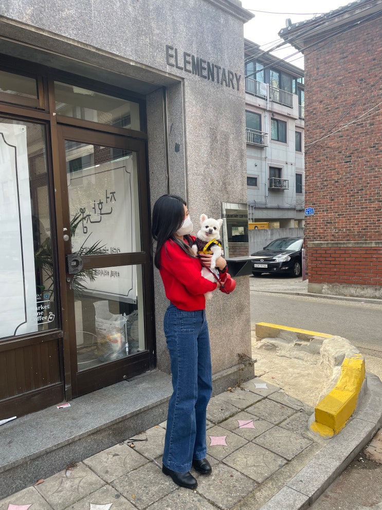  1월 3주차 일상 :: 블로그 일 방문자 900명 돌파, 안젤로비안코 세일 기념 쇼핑, 해적 시사회 등