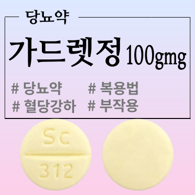  가드렛정100mg 당뇨약 복용법과 효능, 부작용 알아봅시다