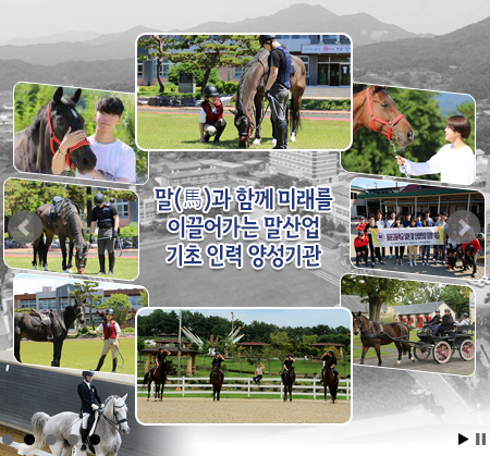 경북자연과학고등학교 경북자연과학고등학교