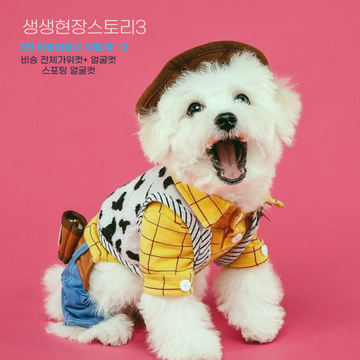  동글동글 귀염둥이 비숑의 방문미용 이야기(feat.도그케어) 2편-클리핑 얼굴컷, 스포팅얼굴컷