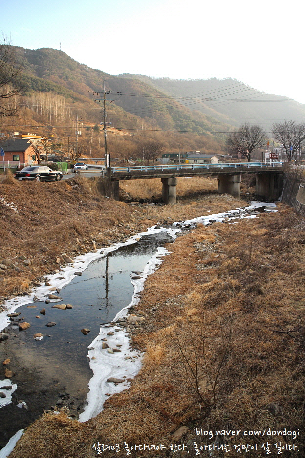  대구근교맛집 돈마을 - 가창 돼지갈비, 조림닭, 솔잎동동주