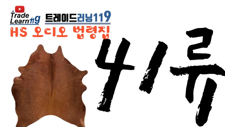  [HS 41류] 어려운 HS 들으면서 외우자!! 2022년 HS, 관세율표 오디오 법령집_41류