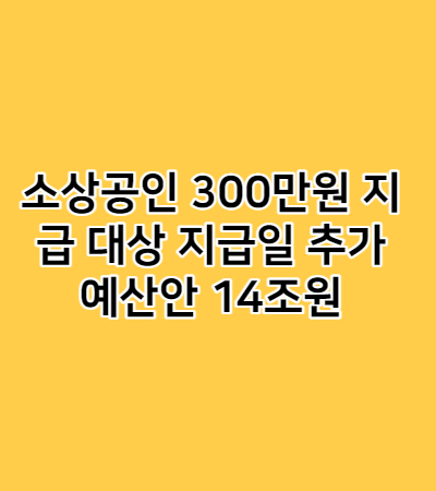 소상공인 300만원 지급 대상 지급일 추가 예산안 14조원