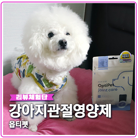 강아지 관절영양제 옵티펫 조인트케어 역시 다르네 강아지 관절영양제 옵티펫 조인트케어 역시 다르네