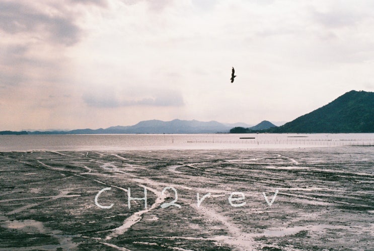 [Crazy Travel of Film Camera]Hi Bird