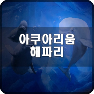  롯데월드 아쿠아리움 B2층에 있는 젤리피쉬 구역에서 해파리 구경해요.