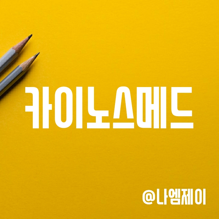 파킨슨병 및 에이즈 치료제 관련주 - 카이노스메드 주가 파킨슨병 및 에이즈 치료제 관련주 - 카이노스메드 주가