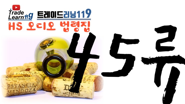  [HS 45류] 어려운 HS 들으면서 외우자!! 2022년 HS, 관세율표 오디오 법령집_45류