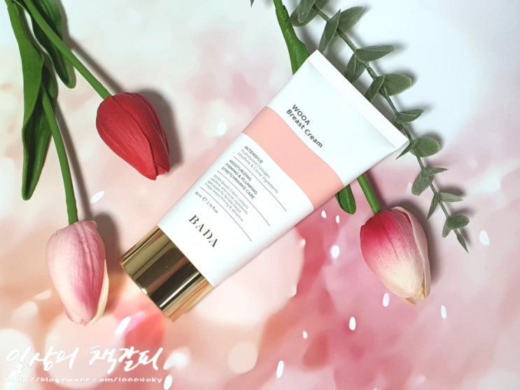  집에서 하는 바디관리 <우아 브레스트크림 WOOA Breast Cream> 가슴탄력크림 써봤어요