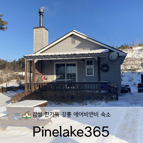 [강원도/강릉] 강릉 감성 숙소 Pinelake365 (feat. 에어비앤비)