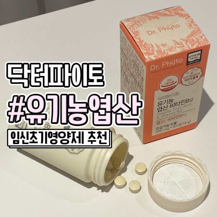  임신초기영양제 준비했어요