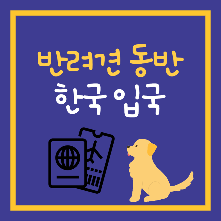  강아지와 함께 미국 출국 / 한국 입국 A to Z