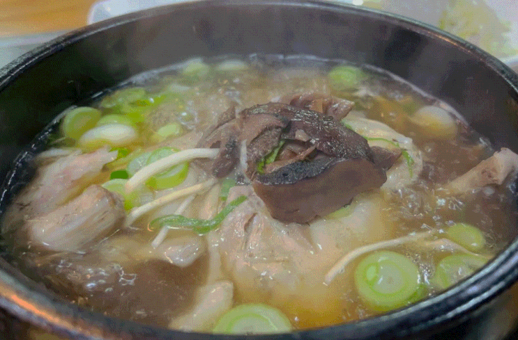  제주시 노형동 능이버섯백숙향계 : 누가 꿩 대신 닭이래