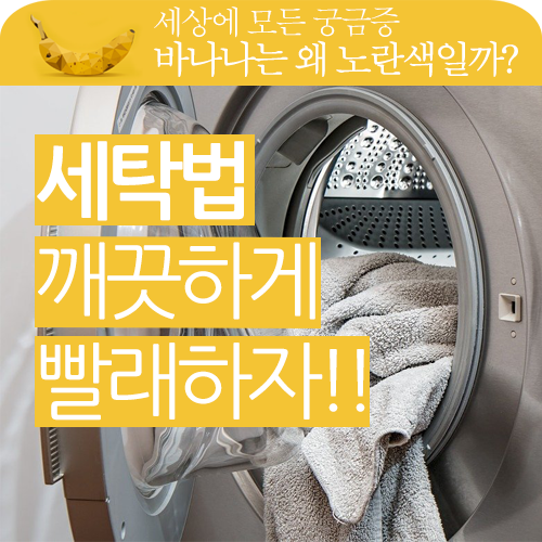 더 깨끗하게 세탁하는 방법은 없을까? 더 깨끗하게 세탁하는 방법은 없을까?
