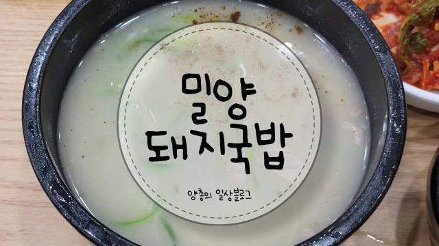  내돈내산) 살코기가 많은 대명동 국밥 맛집 - 밀양 돼지국밥