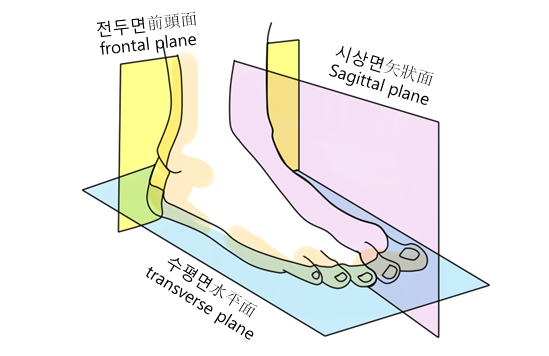  뇌성마비/정상발달 설명해주는 남자 - 발과 발목의 움직임과 중요성 part1