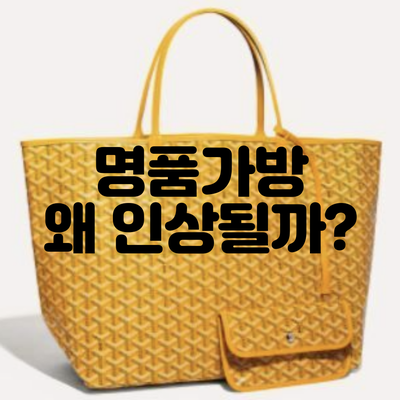  또 오른 명품가방 가격 인상 왜?