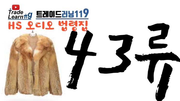  [HS 43류] 어려운 HS 들으면서 외우자!! 2022년 HS, 관세율표 오디오 법령집_43류