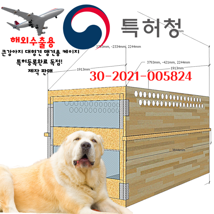  2021[특허출원] 대형견해외운송 대형견 강아지 큰동물 우드켄넬 크레이트 강아지해외항공운송 반려견출국 애완견 입국