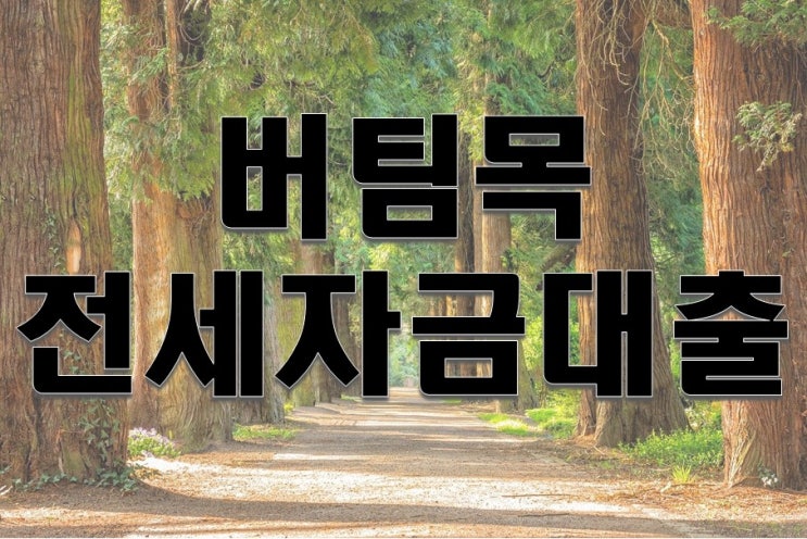 버팀목전세자금대출 시 주의사항