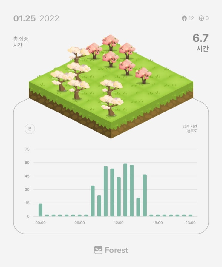 1월 25일 공시생 일기 + 복습