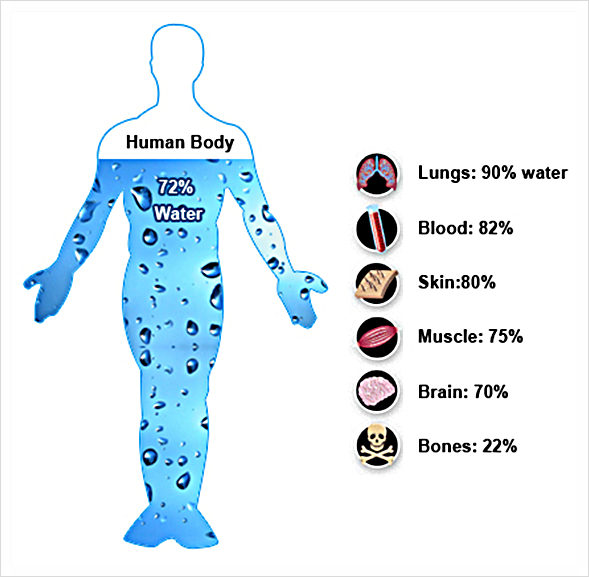 물이 건강을 좌우, 소아 성인 남자 여자, 체중 혈관 세포 체액 혈액 디톡스